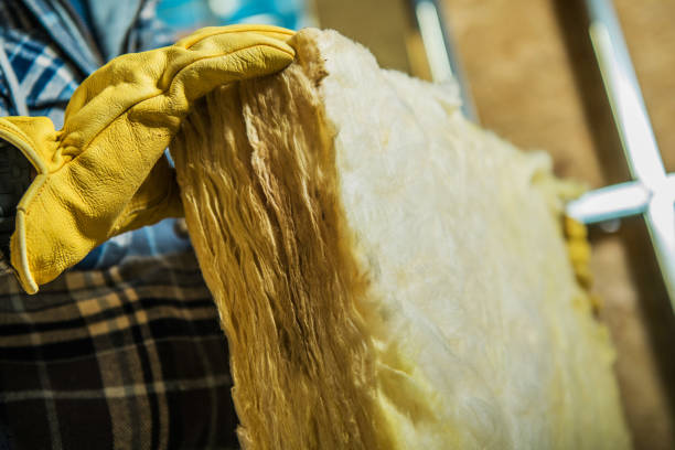 Best Home Insulation Services  in Spearman, TX
