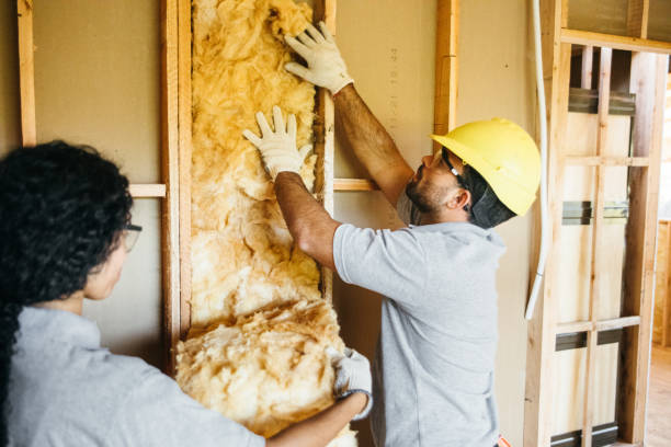 Best Insulation Contractor Near Me  in Spearman, TX