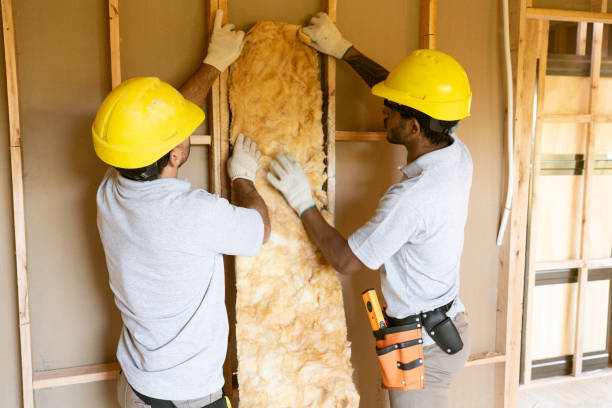 Best Insulation Repair Services  in Spearman, TX