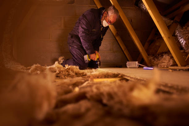 Best Insulation for New Construction  in Spearman, TX