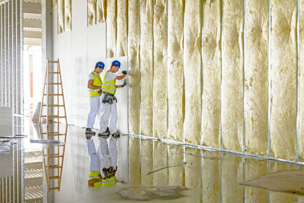 Best Attic Insulation Installation  in Spearman, TX